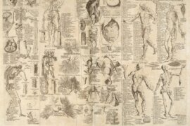Anatomical_chart_Cyclopaedia_1728_volume_1_between_pages_84_and_85-chambers-1