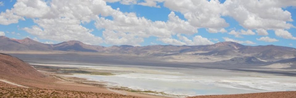 PN-Salar-de-Huasco-despejado